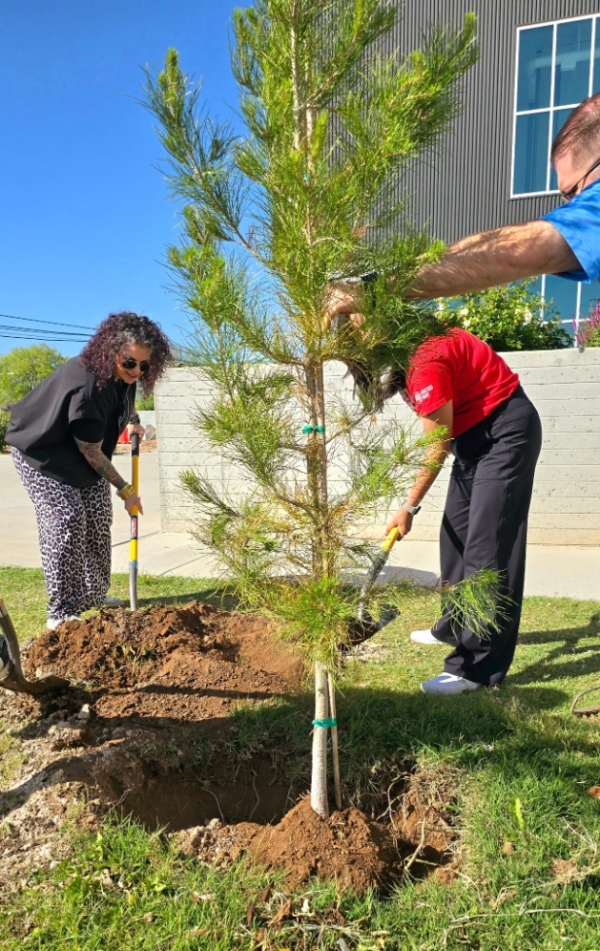 preschool teacher with children